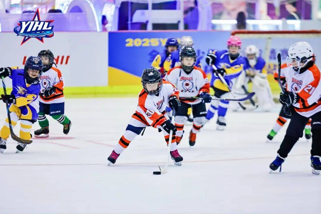 包含世界赛舞台，冰球代表国家出征荣耀的词条