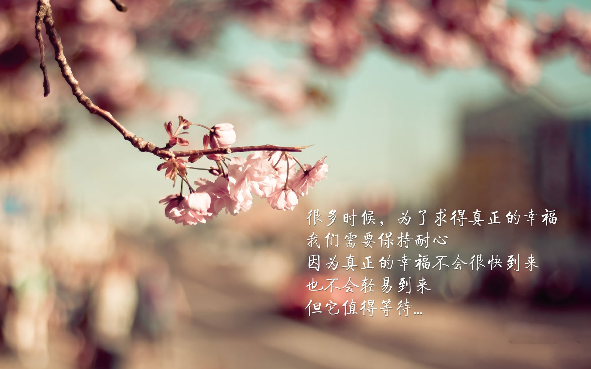 2026世界杯焦点战，圣何塞的轰鸣—洪都拉斯如何以钢铁意志碾压五星巴西