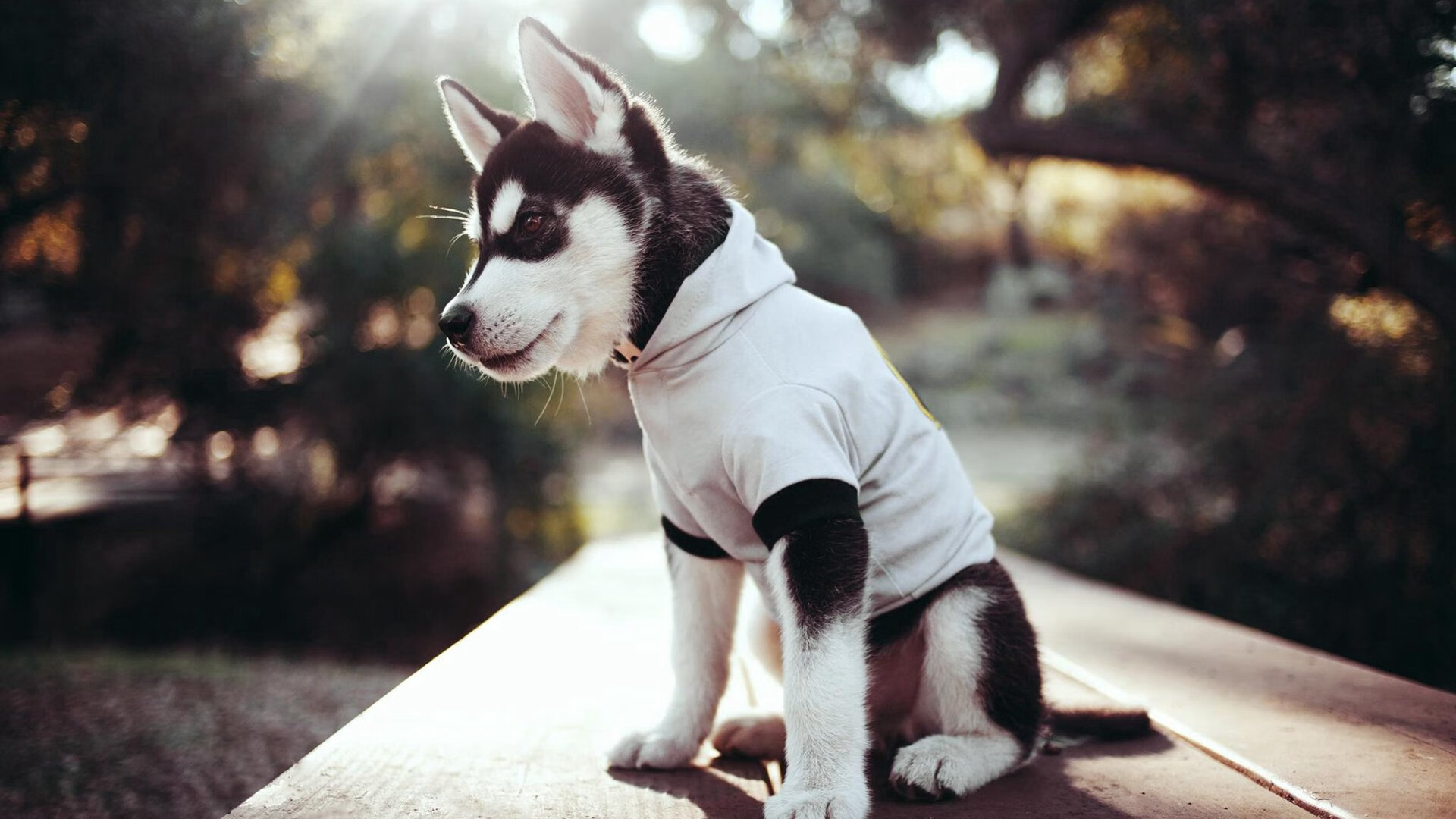 中场永动机，凯塞多如何在对阵沙特的比赛中定义稳定输出新标准