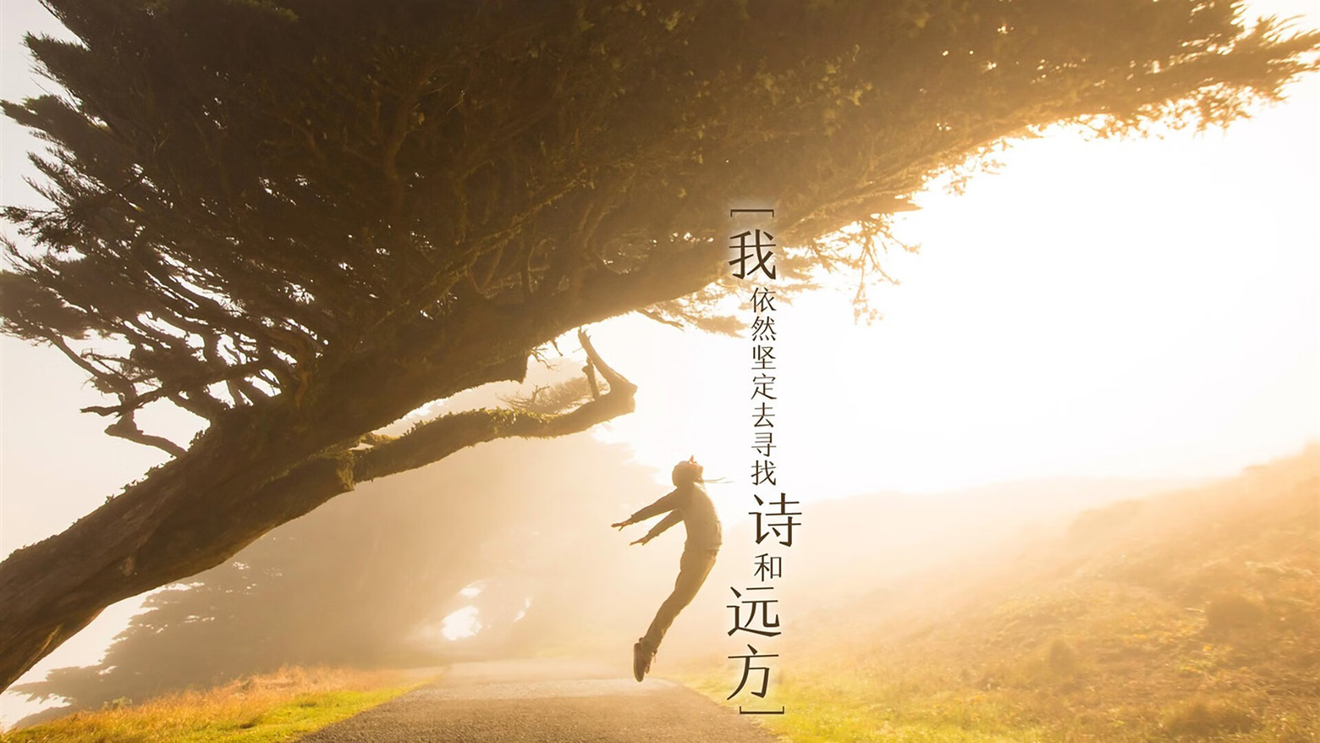 冰球基因燃烧绿茵场，从加拿大的绞杀战到戈麦斯的冠军接管