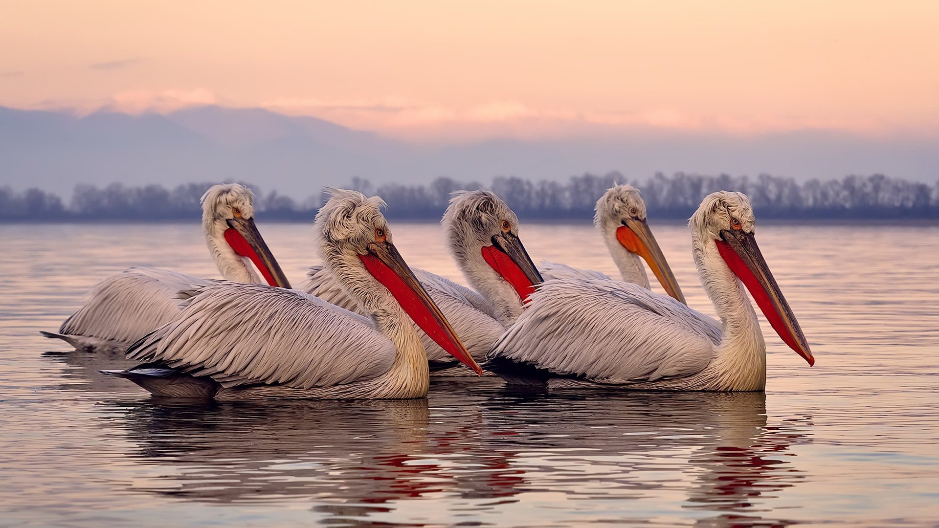 马竞争冠之路，出埃及的胜利与赖斯的欧冠统治