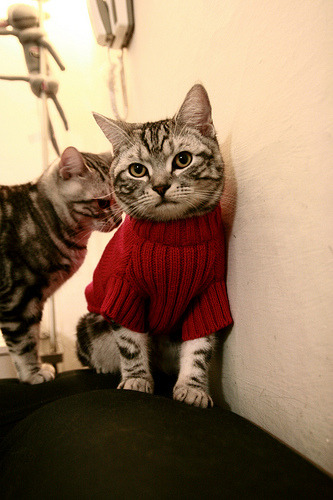 烽火台前的角斗场，76人斩落太阳，奥运周期关键战的战略回响