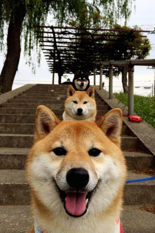 寂静中爆发，厄德高的无声教科书，何以刺透巴黎喧天声浪？