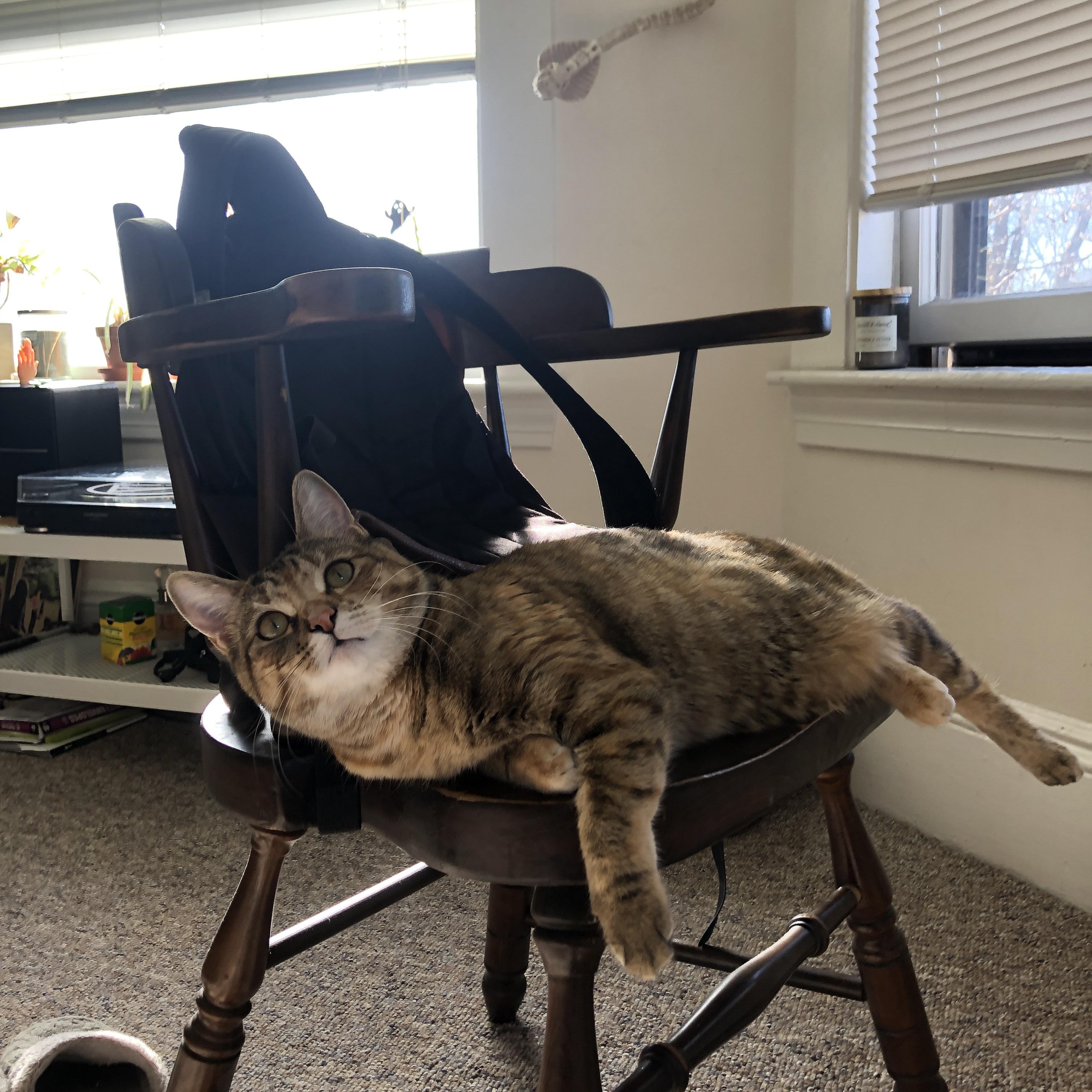 超现实的证明，当摩洛哥全明星队在马德里竞技主场迎战C罗