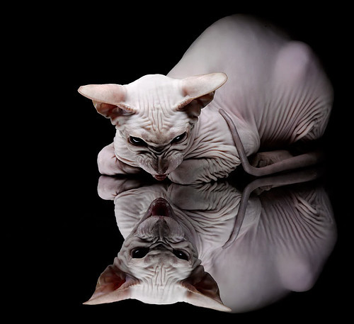 开云体育-铁链锁巴黎，国际米兰的防守艺术如何重塑欧冠版图