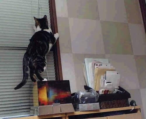 擎天一柱！武切维奇在火星四溅的洛城之夜定乾坤