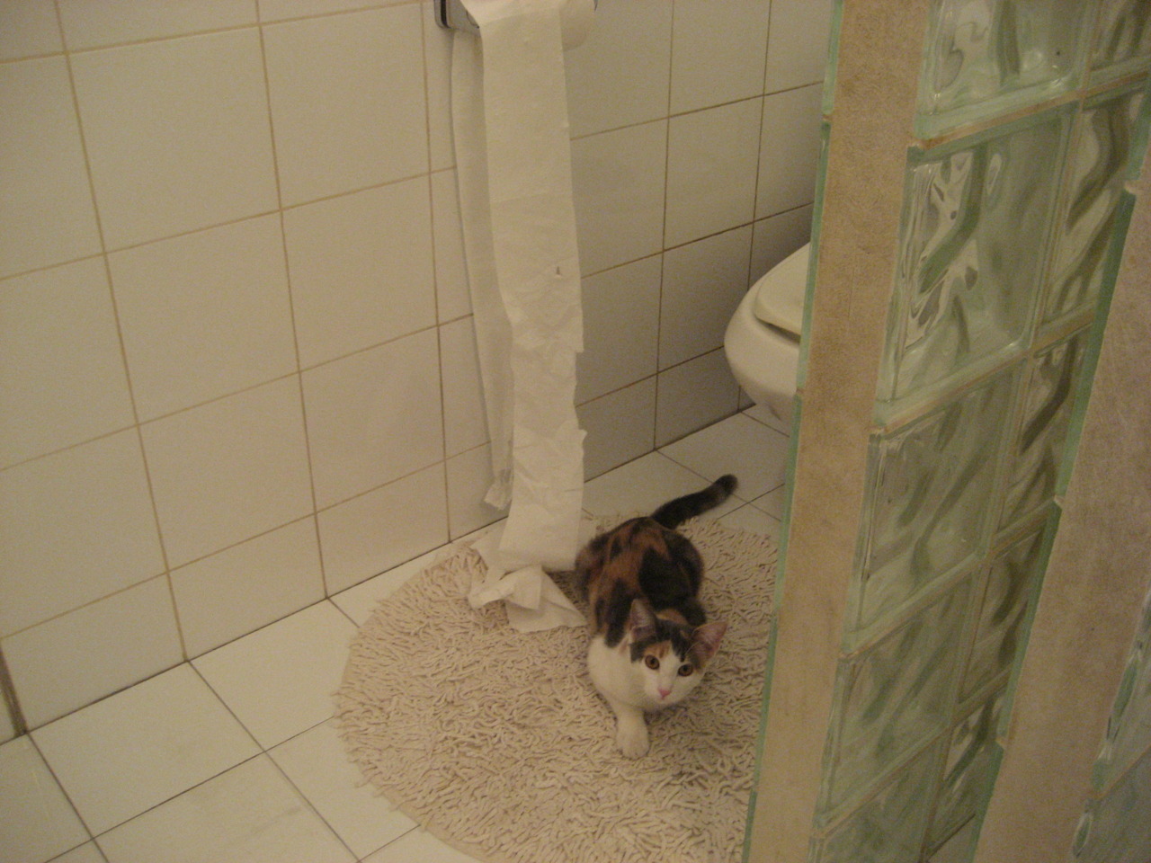 王者冲击!雄鹿攻防一体碾压骑士,强势晋级书写新传奇