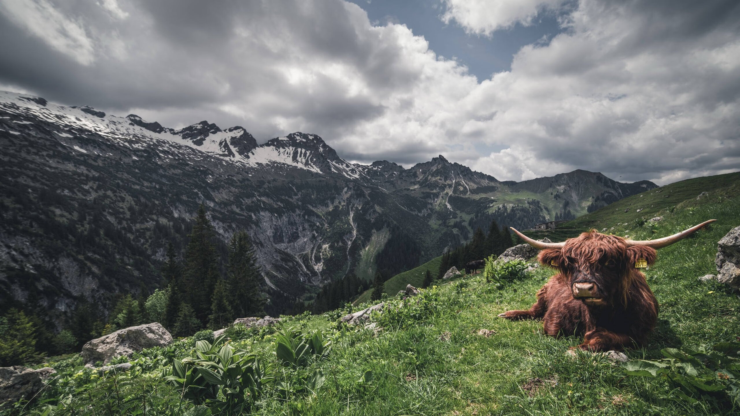 萨内蜕变与米兰坠落，连续得分拉开差距背后，是德意足球哲学的对抗