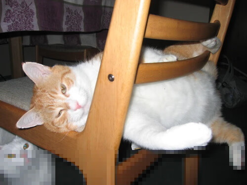 开云sport-跨越现实的绝杀，当字母哥降临奇才与马刺的经典之夜