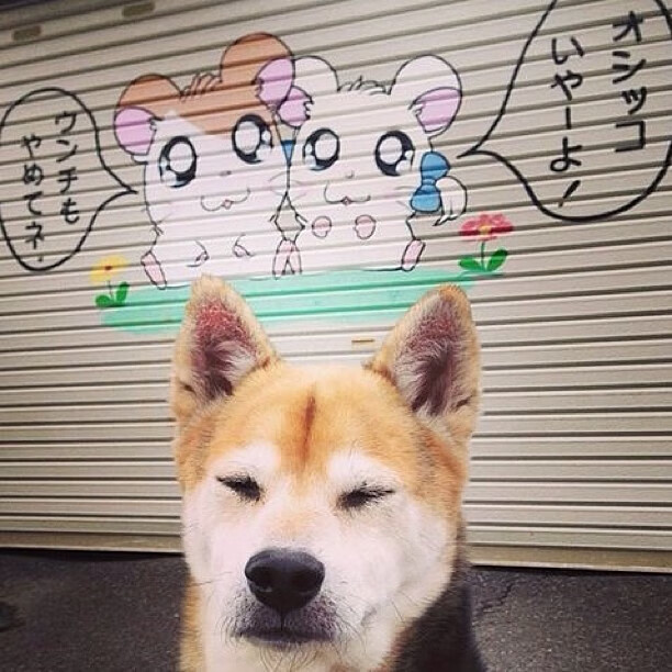 开云sport-伦纳德奏响淘汰交响曲，当篮球美学在盐湖城淬炼为爵士乐