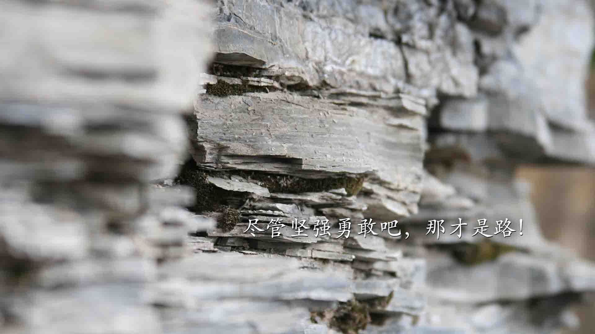 (扩展思维后的多个备选)