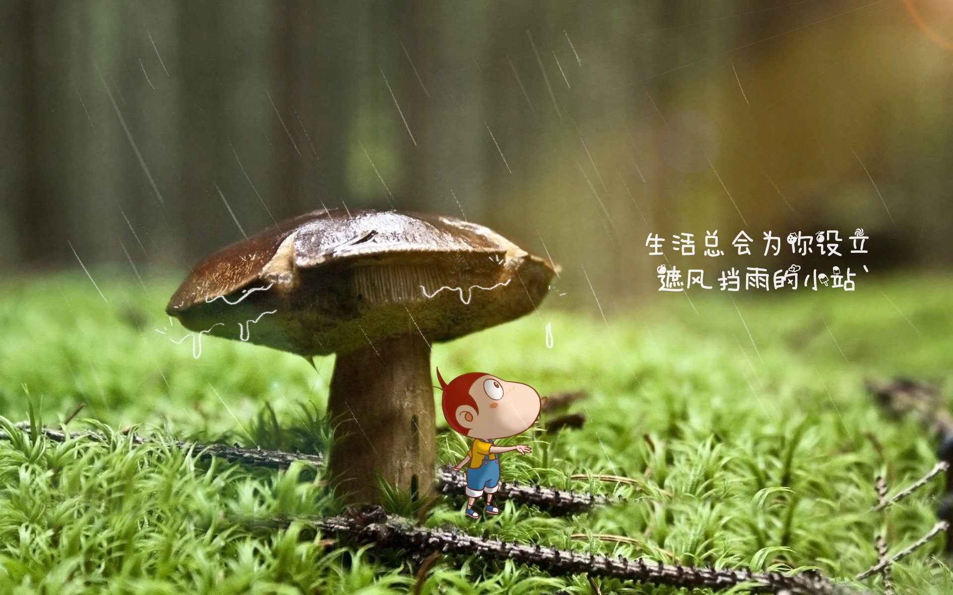 开云体育官网-冰与火之歌，埃斯比的维京战吼，奥斯梅恩的星火燎原—2026世界杯E组冰岛险胜瑞士史诗夜