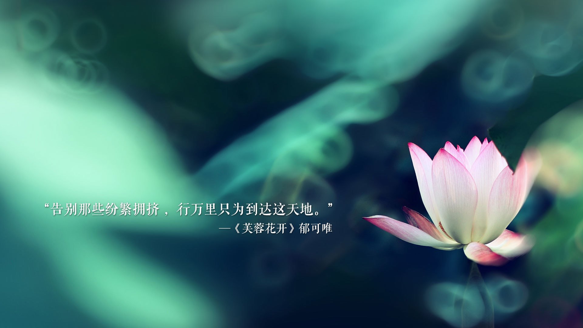 雷克雅未克的冰与火,加维的神之一脚,冰岛的极致浪漫