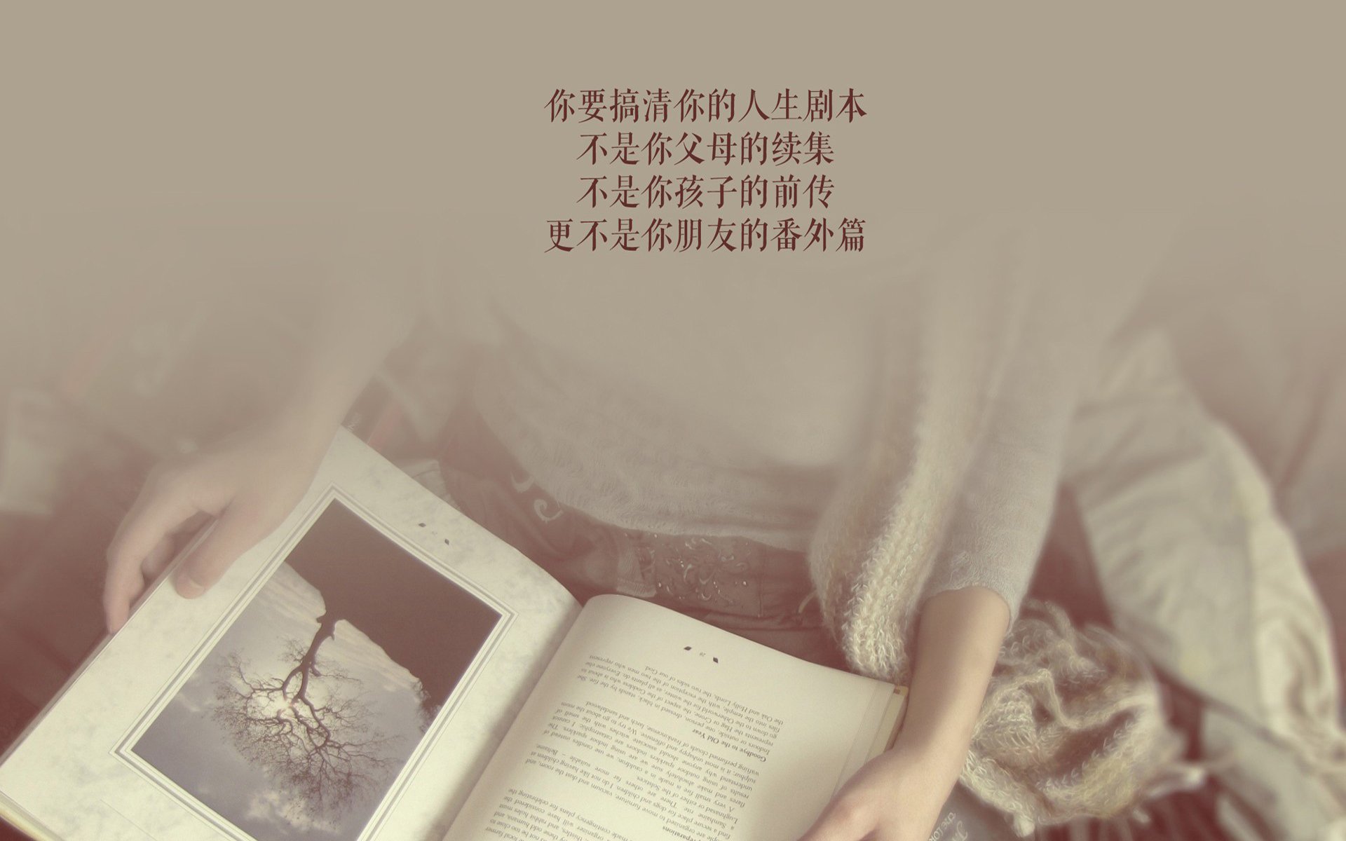 开云体育在线-北非雄鹰折翼多哈，战术完胜与罗德里戈的独舞，匈牙利如何用钢铁理性击碎突尼斯的狂想