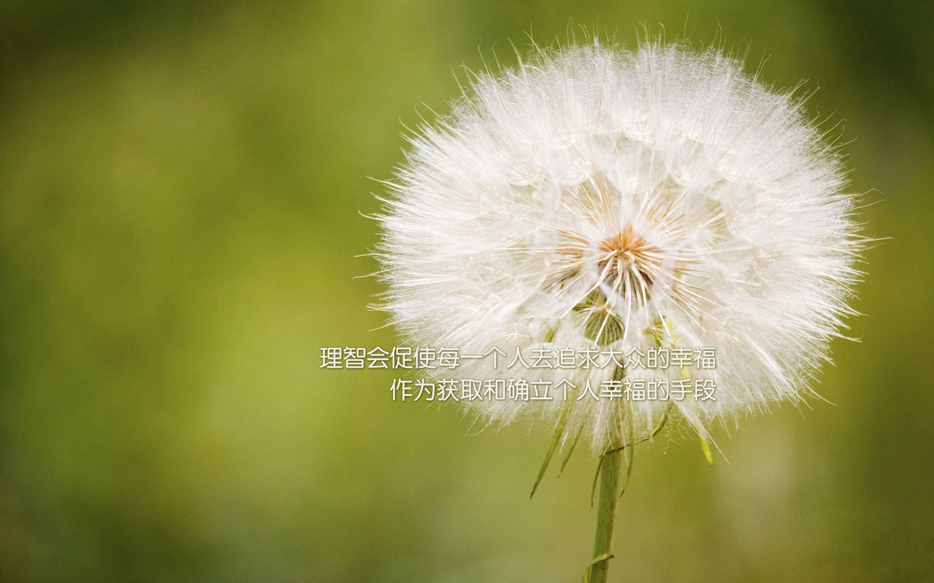 （扩展思维）